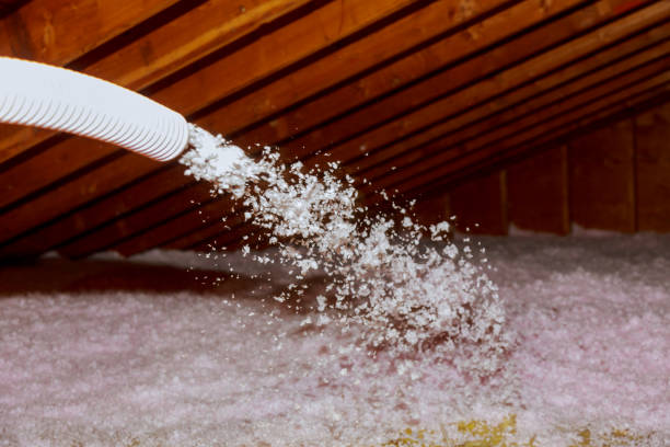 Best Affordable Insulation Services  in Lake Winnebago, MO