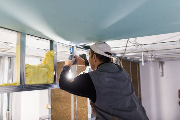 Best Insulation Installation Cost  in Lake Winnebago, MO