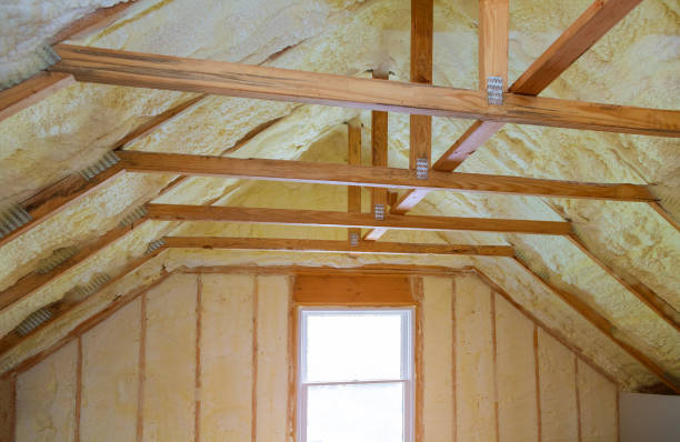 Best Commercial Insulation Contractor  in Lake Winnebago, MO