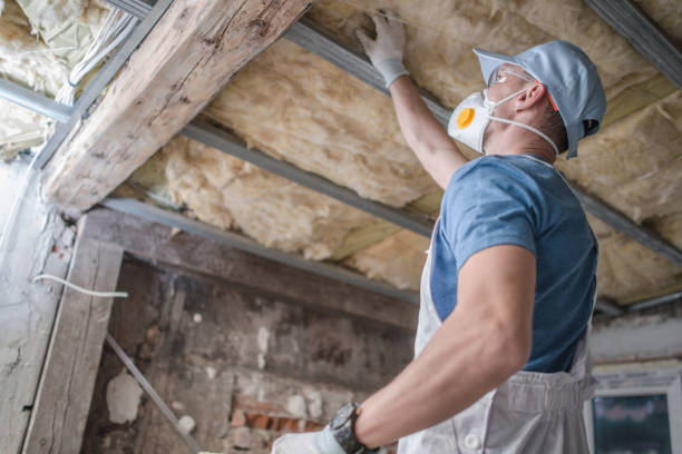 Best Attic Insulation Near Me  in Lake Winnebago, MO