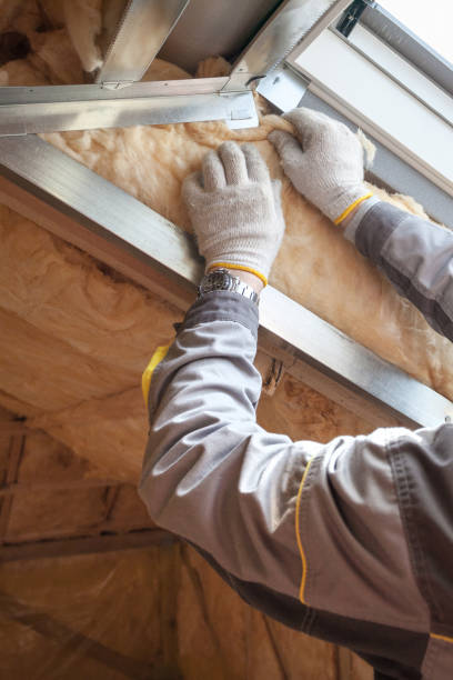 Best Blown-in Insulation  in Lake Winnebago, MO