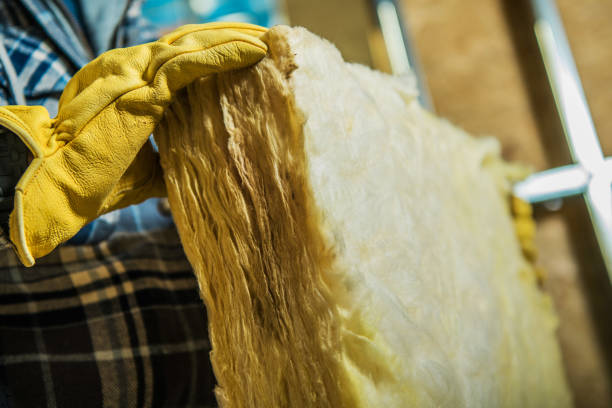 Best Residential Insulation Services  in Lake Winnebago, MO