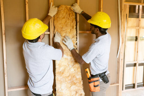Best Insulation Contractors for Homes  in Lake Winnebago, MO