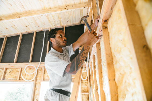 Best Attic Insulation Installation  in Lake Winnebago, MO