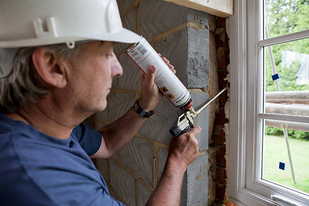 Best Wall Insulation Contractor  in Lake Winnebago, MO