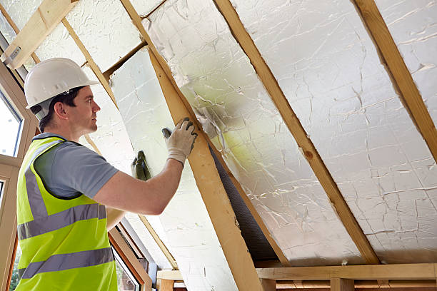 Best Professional Insulation Contractor  in Lake Winnebago, MO
