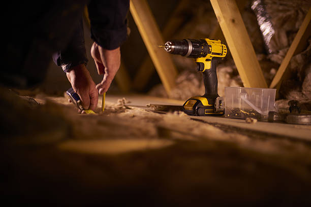 Best Insulation Inspection Services  in Lake Winnebago, MO