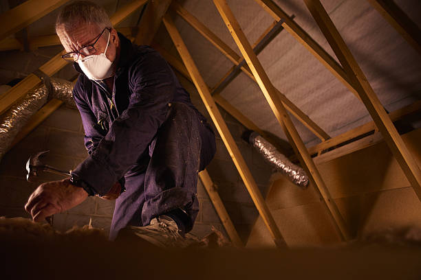Best Insulation for New Construction  in Lake Winnebago, MO